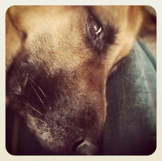 MartaLagrasta's profile picture. Sono una ChocoSkizzata!!! ;-)