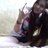 kalabzinasvetla's profile image