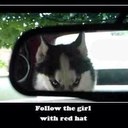 phil baldwin - @thetallone38 - Twitter