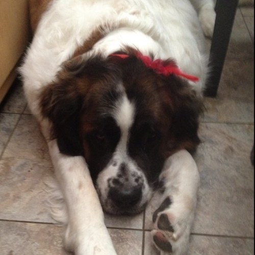 Lindsey101009's profile picture. 