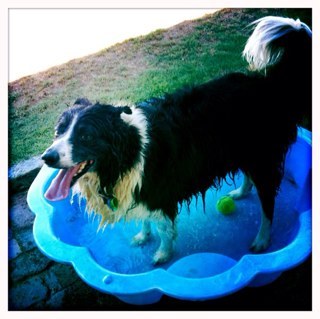 drdirtmonster's profile picture. 