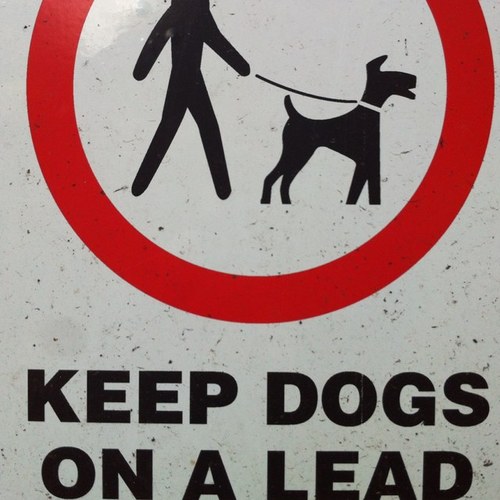 trilero1972's profile picture. down to earth