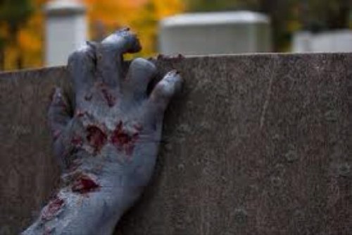 DevilDog9203's profile picture. I am the only zombie that will survive. I cannot be killed Daryl Dixon tried once and gave up. Since then we have went on a squirrel killing spree.