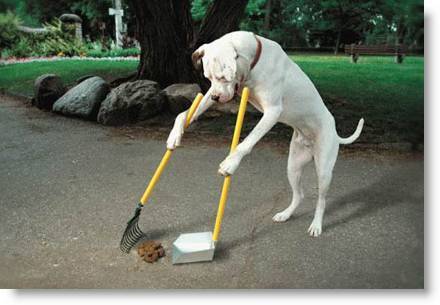 Trained to always ask… “What’s In It For Them?” Clean-Up On Aisle 45, Is Going To Be A Heavy Load! This Dog Will Hunt!