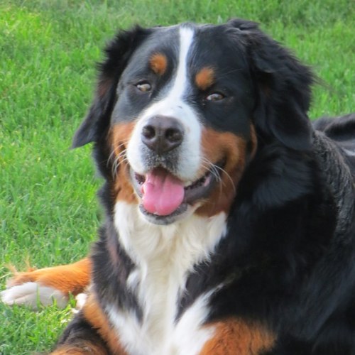 MarionLatour's profile picture. 