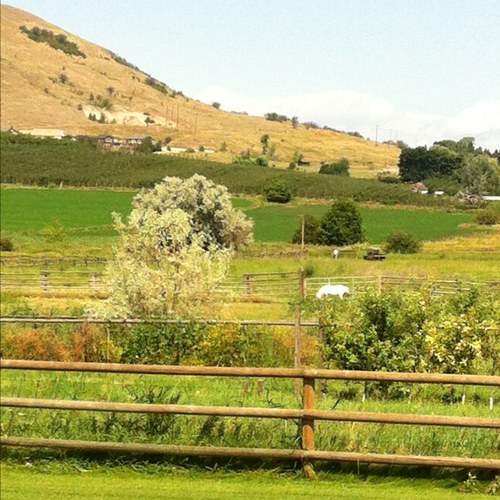 ColdstreamSher's profile picture. 🇨🇦