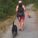 Stephanie Dimmick - @StephDimmick - Twitter