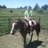BArizona05's profile image