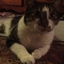 antonio newton - @antonionewton55 - Twitter