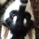 Lisa Riddell - @LisaLrml - Twitter