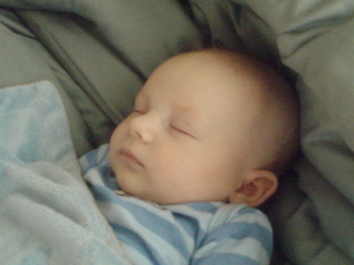 askmamabear's profile picture. 