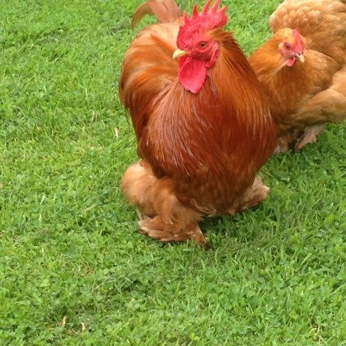 tim2575's profile picture. 