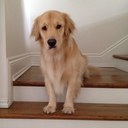 Eric Bass - @bass_e2 - Twitter