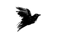 i am a writer who leaves small pieces of work hidden in library books and book stores anonymously, I hope  to inspire others to share their story too