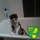 Norwich season ticket holder Snakepit.  Married to fellow NCFC fan Jen.