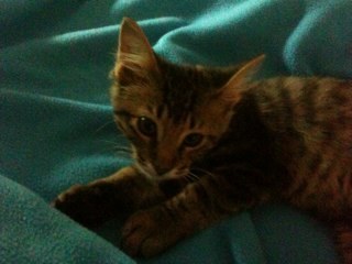 JacqiW's profile picture. It's all good...if you are a little bit crazy. And I am a LOT crazy so life is wonderful!