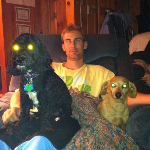 GavanFletcher's profile picture. 