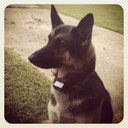 Benjamin Hanks - @benjamin_hanks - Twitter