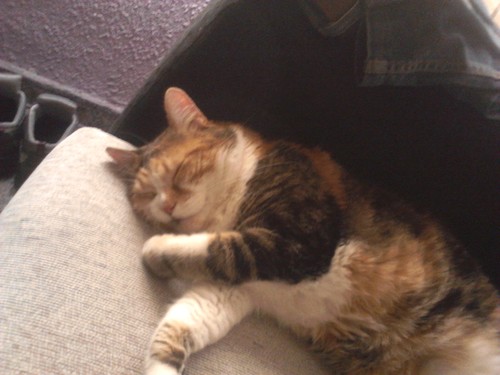 0restes's profile picture. 