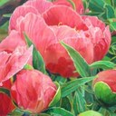 jan philips - @jan_philips - Twitter