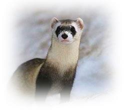 GtekkTJ's profile picture. 