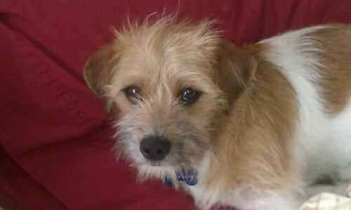 D_M_Robb's profile picture. Sr Programmer