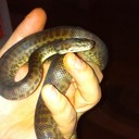 Mat king - @Mking_7 - Twitter