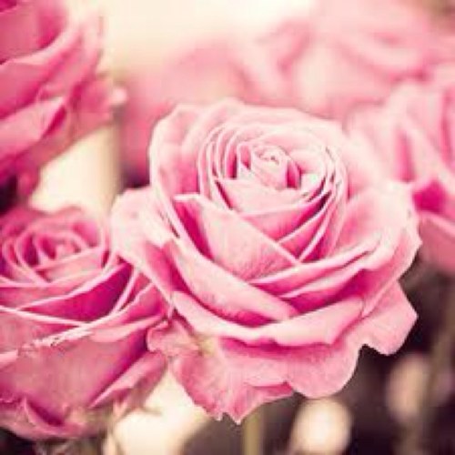 ams7770's profile picture. 