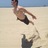 JoeyLoomis's profile image
