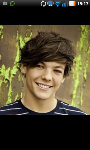 1/5 of one directon 1D