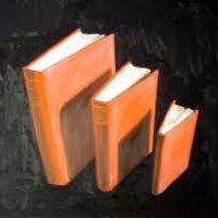 3libri (@3libri) 's Twitter Profile