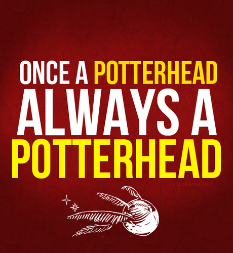 The07Horcruxes's profile picture. Youtubers, vloggers, twittcamers. EVERYTHING. - @RonWeasleyFans @MollieGrant