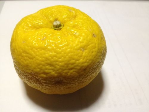 airfoong's profile picture. 