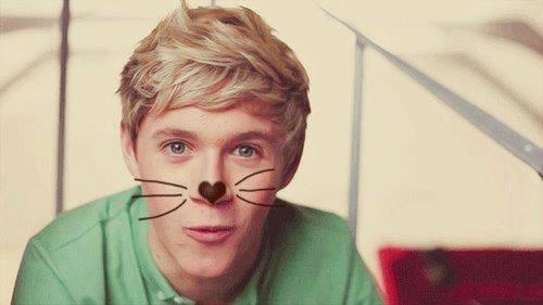 I love 1D so much, they are everything to me i love you guys !!!!! xxxxxx