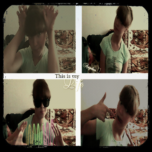 Люблю друзей:D Гулять люблю:* Ну и конечно обожаю  животных:D