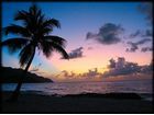 Writer, cook, snorkeler