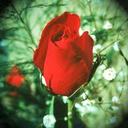 touati mohammed (@1976touati) Twitter