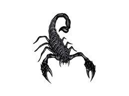 CathKruger's profile picture. If you are not prepared to learn, you are not ready to teach. One person can make a difference! I believe in those who believe in themselves!