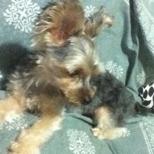 asbel_225's profile picture. 広告系時々歌うたい。 ﾌｧｼﾞｺﾝ.ｲｴﾓﾝ.大知君大好き(＾-＾) ﾏﾝｶﾞもｹﾞｰﾑもたしなみますよ？ 人生楽しまなきゃ損！ ﾏｲﾀﾞｰﾘﾝむぎのすけ(ﾖｰｷｰ)に癒され中~♪