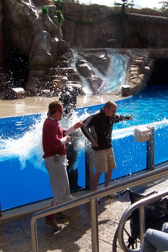 SteveAWalsh's profile picture. 