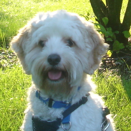 nala98's profile picture. The Twitter feed of geocacher nala98.