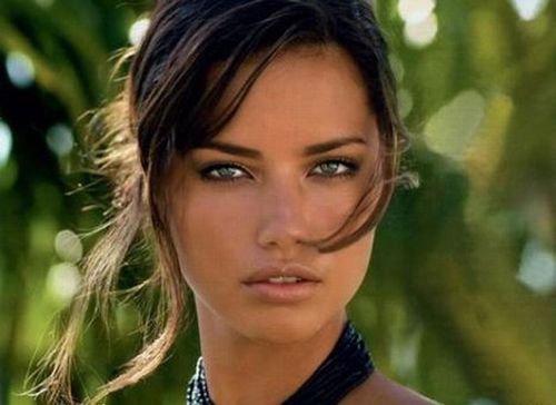 angellilli1's profile picture. Pharmacist