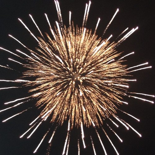 nrust219's profile picture. 