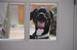 WoodardTracy's profile picture. 