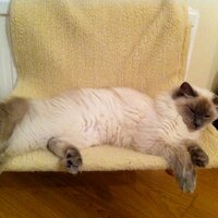 Marcel (@marcel_cw) 's Twitter Profile