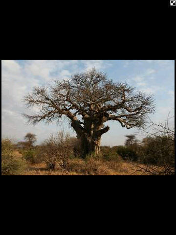 AAAAAAbdullah's profile picture. 