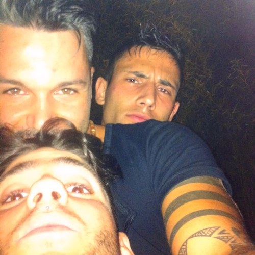 Stiffleriano's profile picture. 