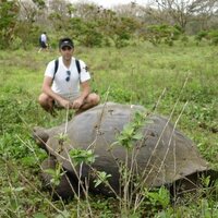 mrpaulfeinstein (@mrpaulfeinstein) 's Twitter Profile Photo