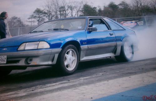 Fox50body's profile picture. 