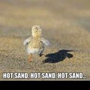 james biggar - @BiggarJames - Twitter